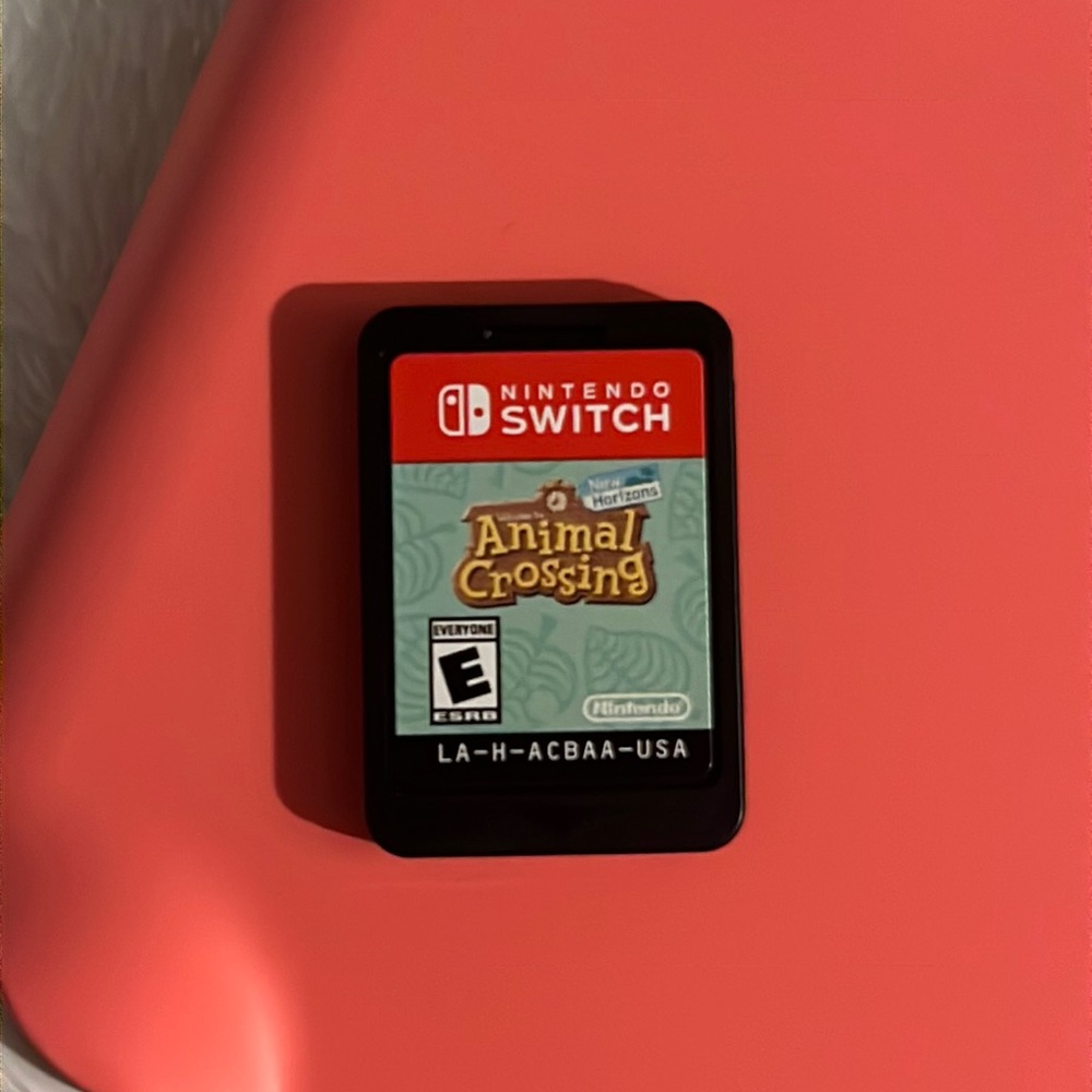 Animal Crossing New Horizons Video Game